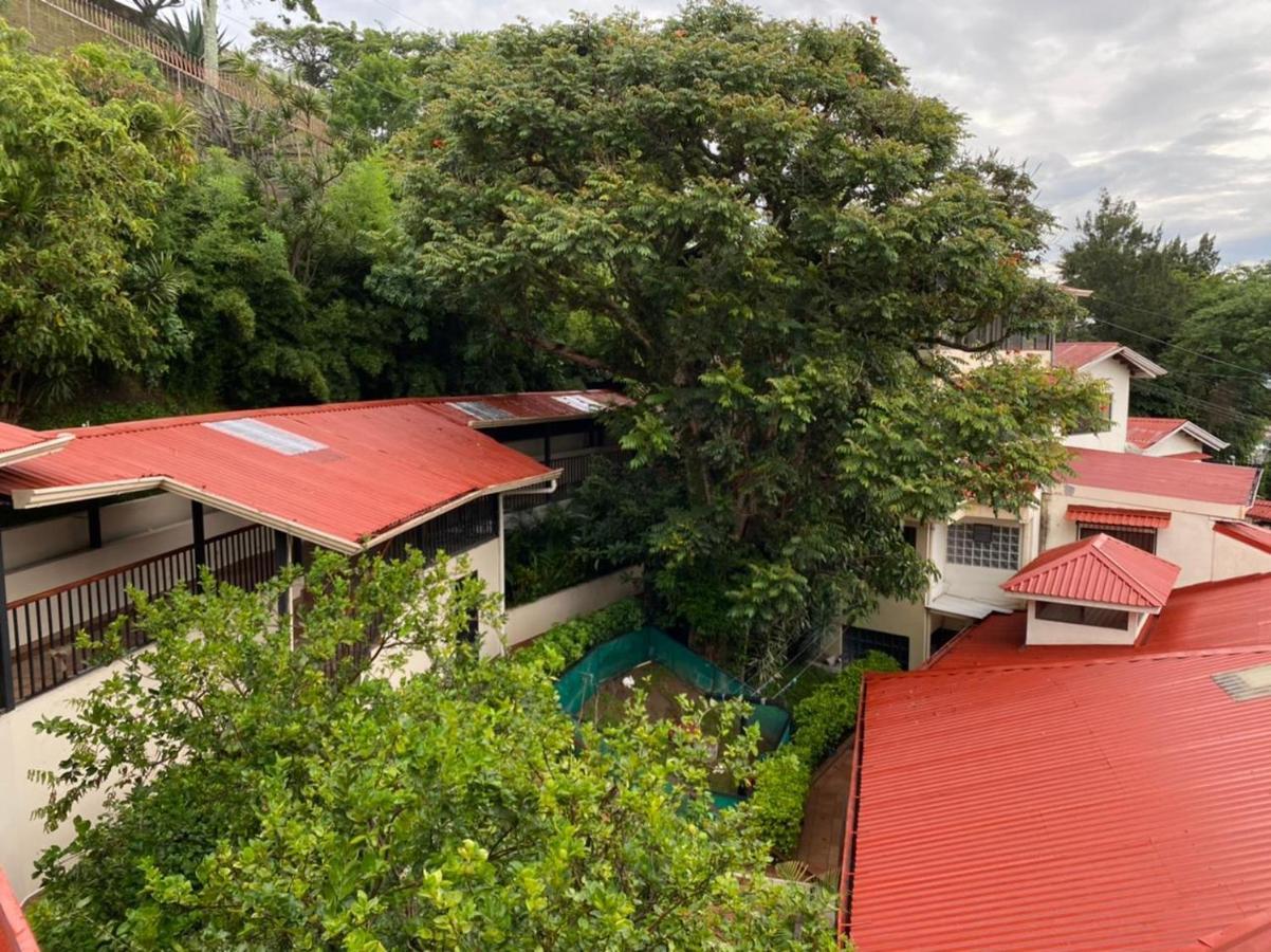 Casa Reflejos City View San Jose  Luaran gambar